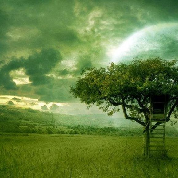 Meet your Posher, Lonna - Picture 6 of 7